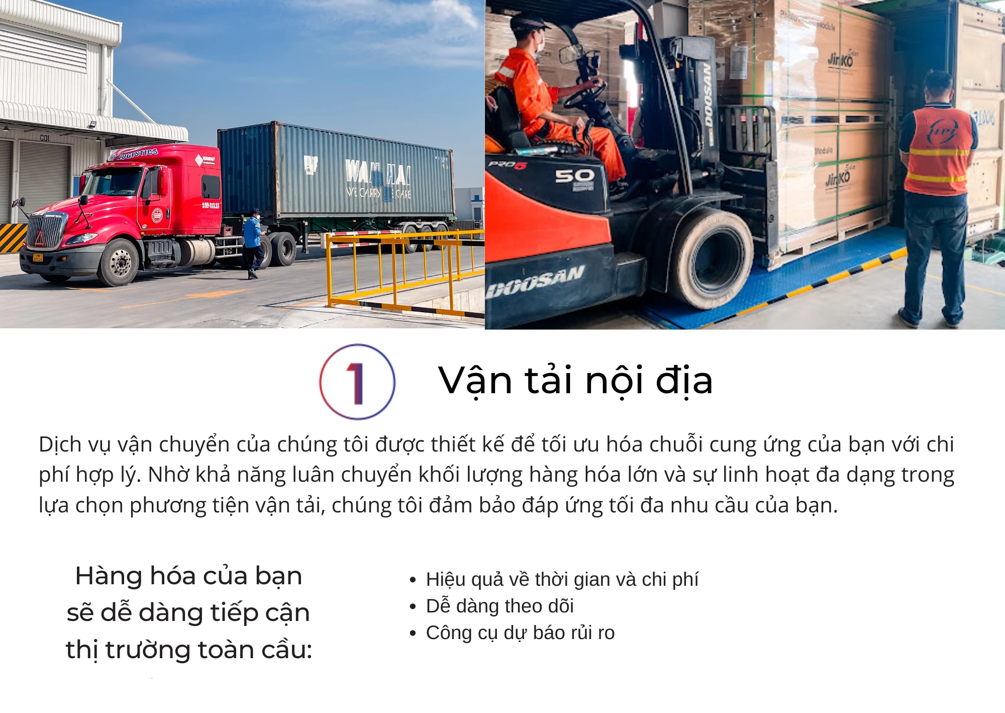 Dịch vụ của chúng tôi